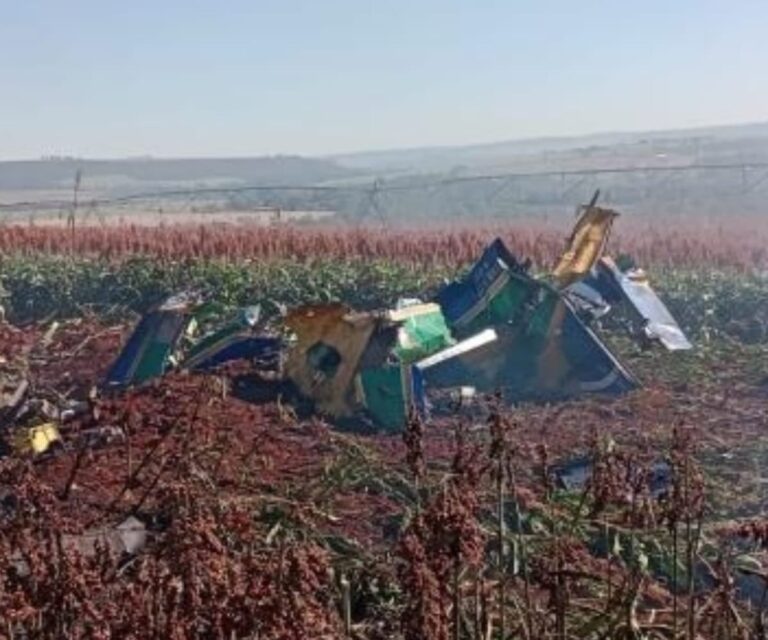 Avião da Esquadrilha da Fumaça cai durante treinamento na região de Ribeirão Preto