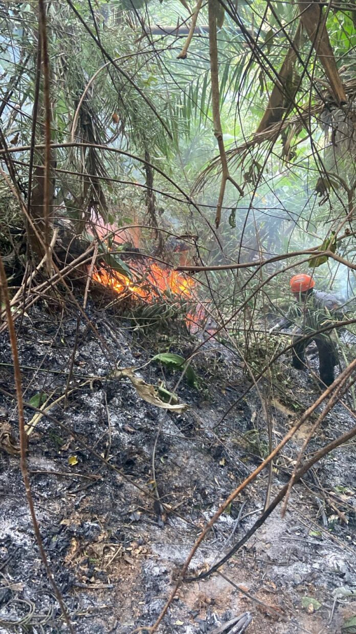 Bombeiros encerram operação após três dias de combate a incêndio a morro em Caraguatatuba
