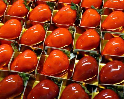 Festival de Flores e Morangos chega a São José dos Campos nesta sexta-feira (1)