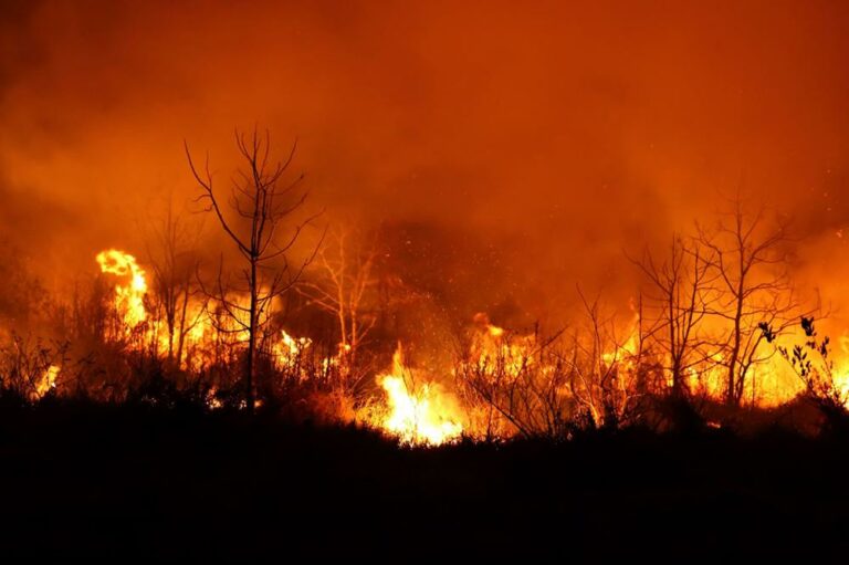 Vale do Paraíba entra em estado de alerta para risco de queimadas até quarta (16)