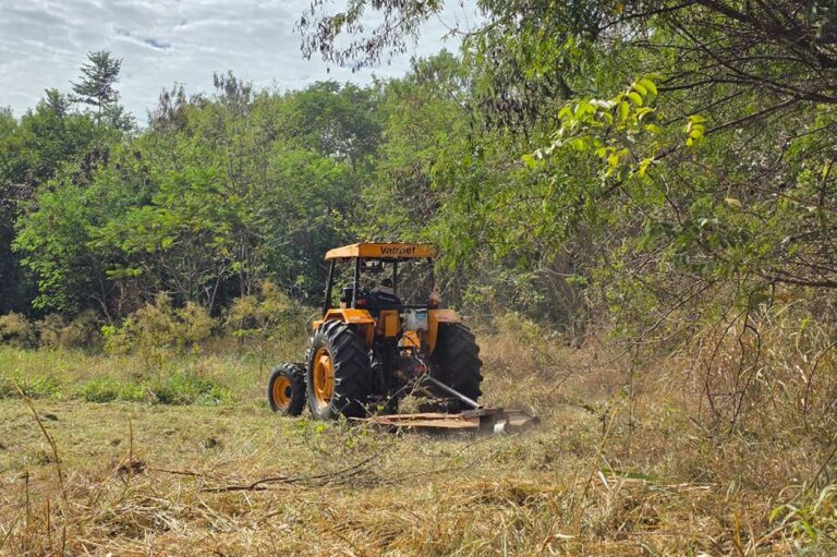 Prefeitura realiza roçadas preventivas para reduzir risco de incêndios em Ribeirão Preto