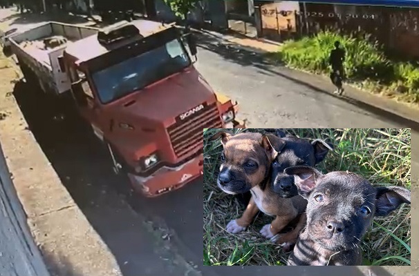 Whatsapp/Reprodução