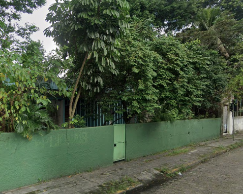 Mulher é atacada por enxame de abelha em Cubatão e precisou ser hospitalizada