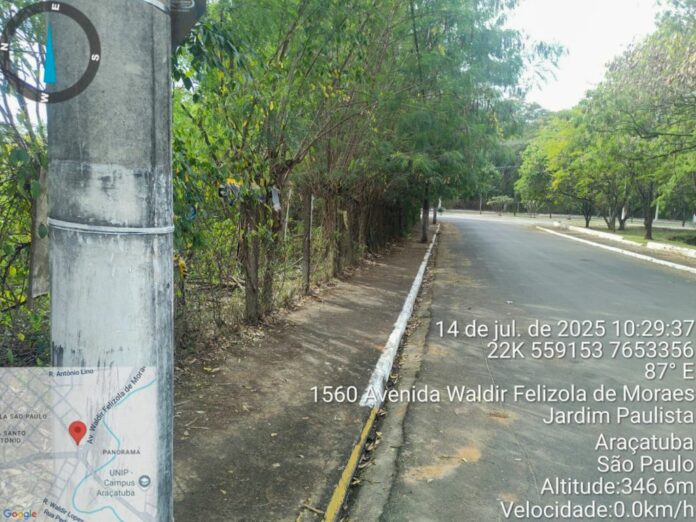 aracatuba-mapeia-areas-de-risco-e-lanca-acao-para-proteger-fauna-silvestre-em-vias-urbanas Foto: Reprodução