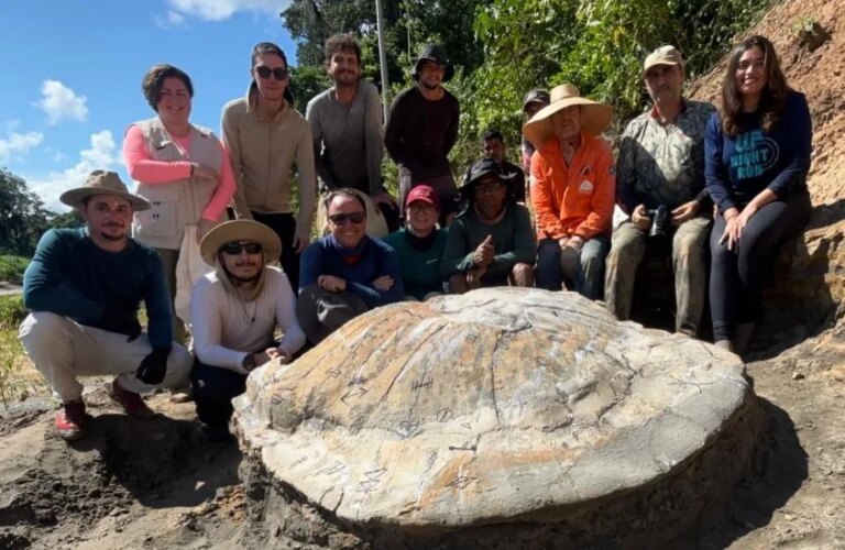Fóssil de tartaruga-gigante é encontrado no Acre