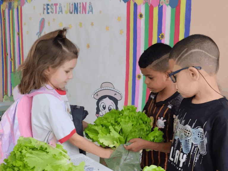 Educação ambiental: crianças cultivam hortaliças e promovem feira no CEI do Cecap