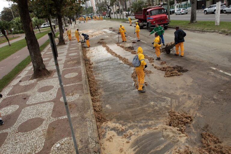 Mobilização intensa após ressaca gigante limpa orla de Santos e mantém cidade em alerta