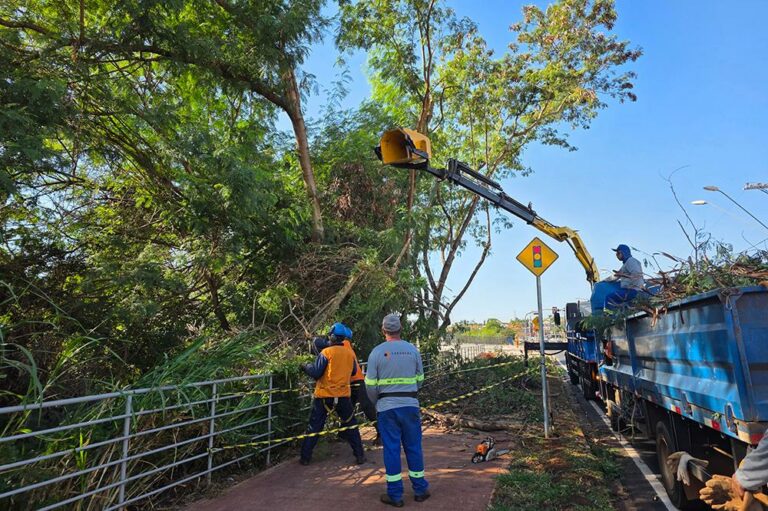 De norte a sul, Prefeitura realiza serviços de zeladoria em avenidas da cidade