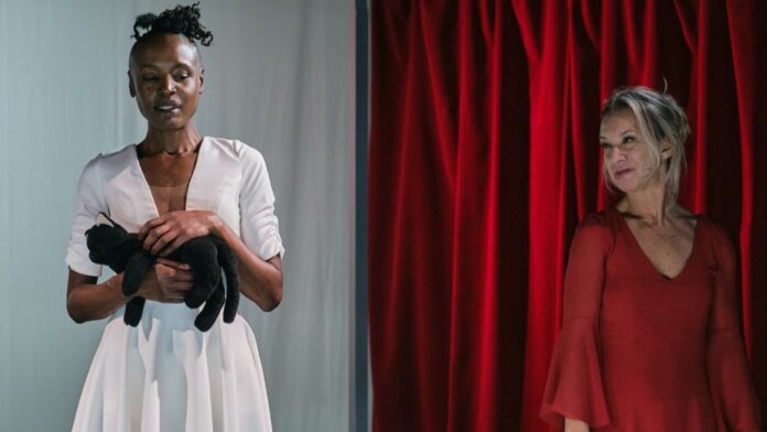 Sesi Taubaté recebe espetáculos gratuitos com companhias teatrais de Portugal nos dias 18 e 19