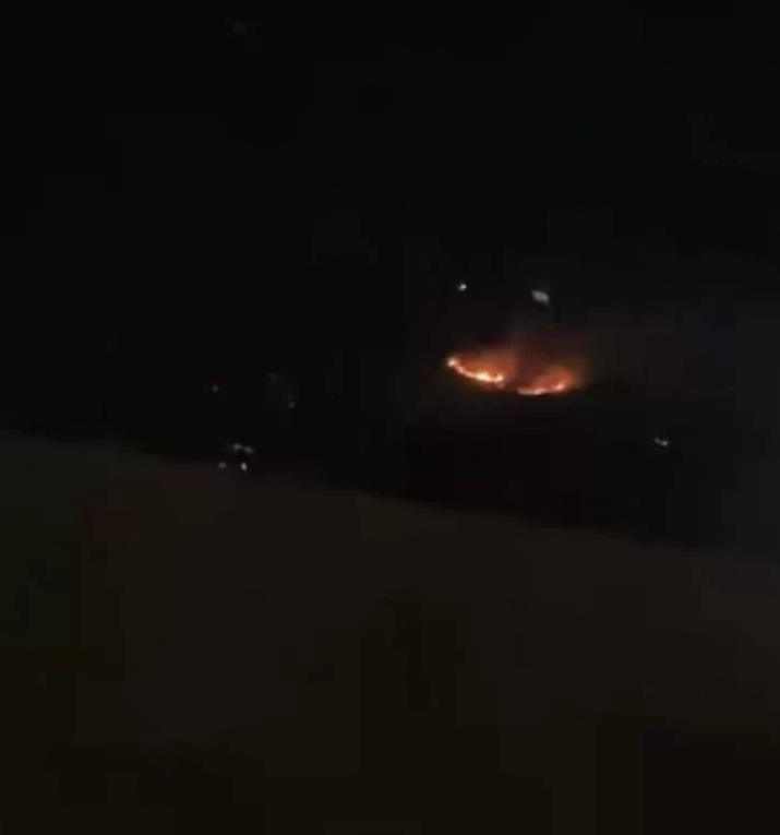Incêndio atinge Morro da Asa Delta em Guarujá