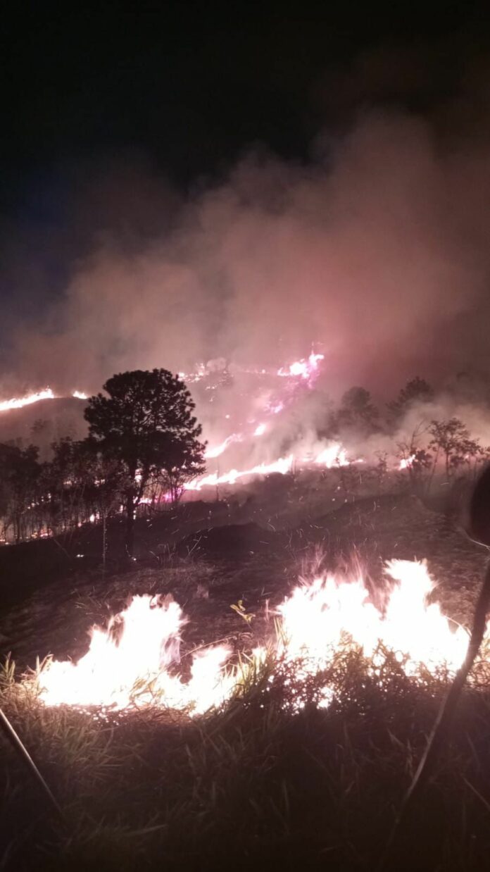 Vale registra ao menos quatro incêndios em áreas de vegetação no fim de semana