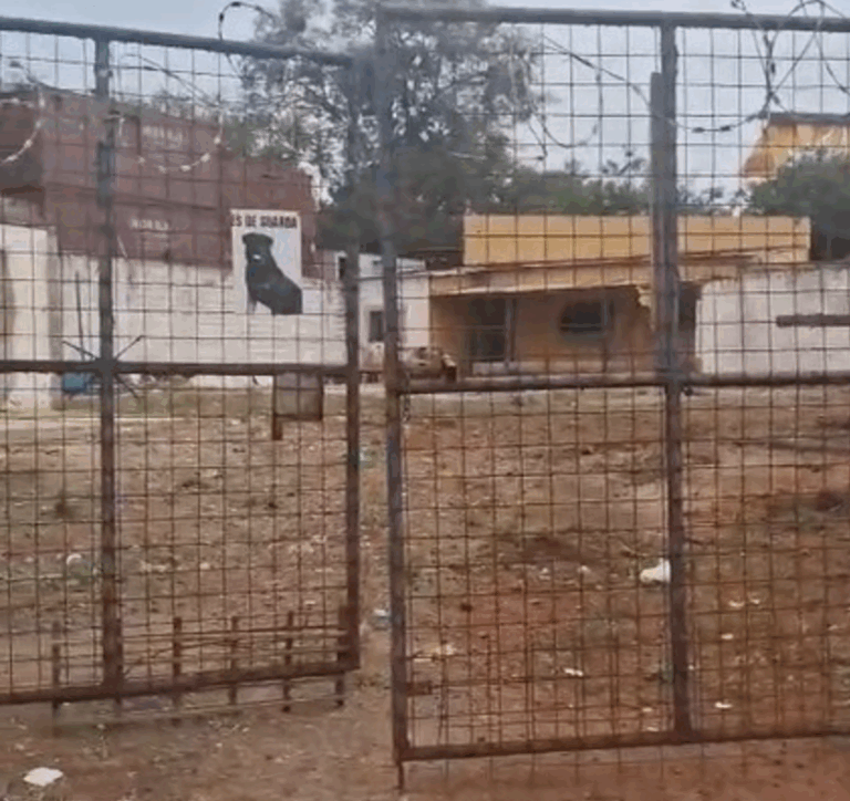 Corpo é encontrado em terreno da zona Norte com sinais de violência e pênis mutilado