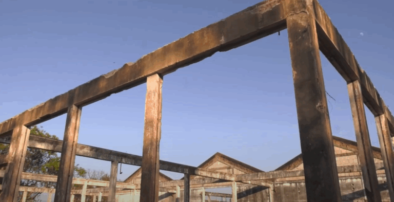 Conheça os primeiros cursos do Instituto Federal de Ribeirão Preto