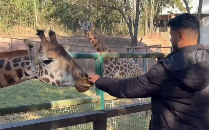 Filhotes encantam visitantes no Zooparque de Itatiba