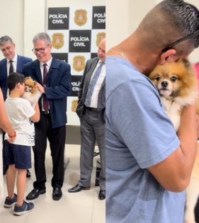 Cachorro furtado em Santos é encontrado em SC e devolvido à família