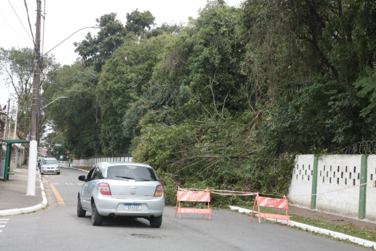 Rajadas de vento a 120 km/h causam estragos e paralisa Porto de Santos