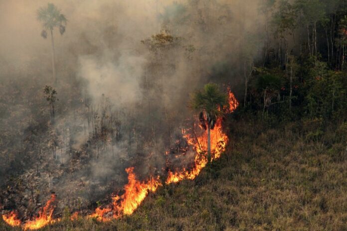 Dois novos incêndios atingem áreas de vegetação no Vale do Paraíba em meio à chegada do veranico Dois novos incêndios atingem áreas de vegetação no Vale do Paraíba em meio à chegada do veranico