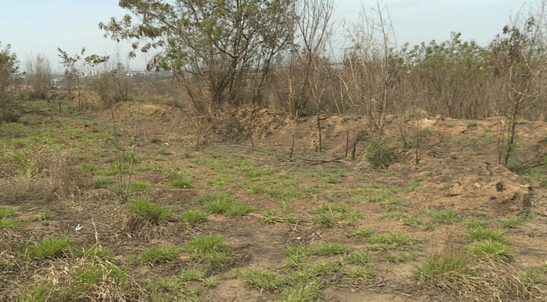 Homem é encontrado semi-nu e espancado em área de mata