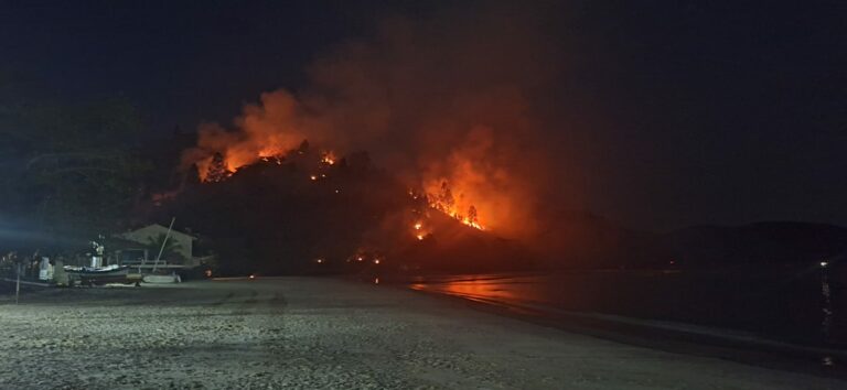 Incêndio atinge área de 76 mil metros quadrados em Ubatuba