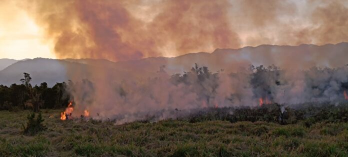 Incêndio atinge área de preservação em Caraguatatuba