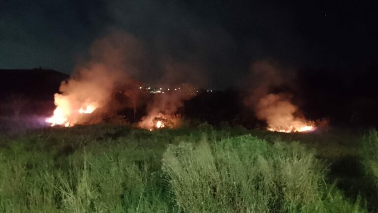 Incêndio atinge área de vegetação de 10 mil metros quadrados em Jacareí