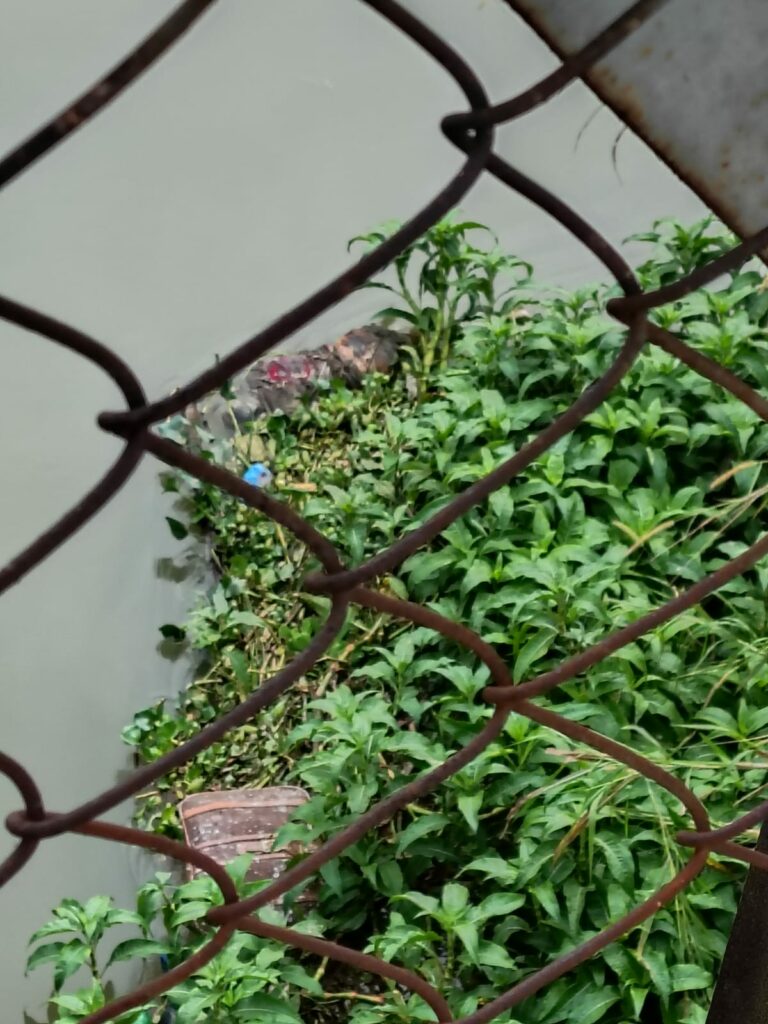 Corpo de homem é encontrado boiando no Rio Paraíba em Cachoeira Paulista