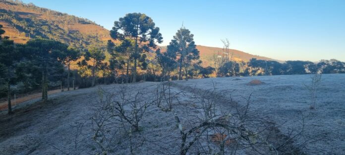 Campos do Jordão registra sensação térmica de 1,3°C e amanhece coberta de gelo Campos do Jordão registra sensação térmica de 1,3°C e amanhece coberta de gelo