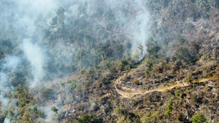 WhatsApp-Image-2025-08-17-at-19.51.18-1024x576