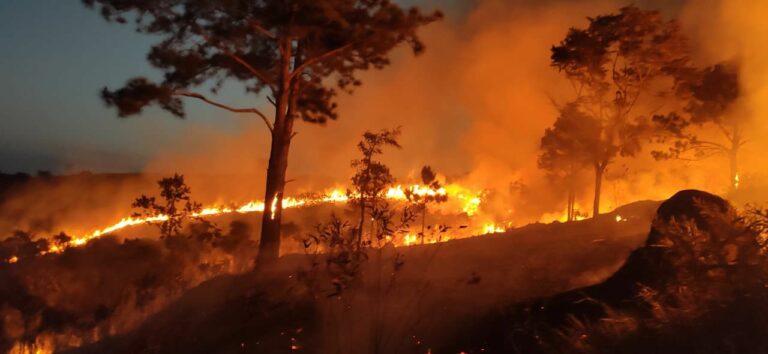 Incêndio atinge área de 80 mil m² em Taubaté