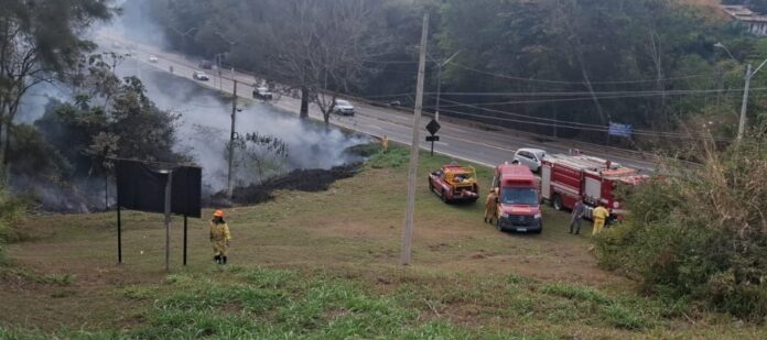 Incêndio de grandes proporções atinge área de vegetação entre Jaguariúna e Santo Antônio de Posse