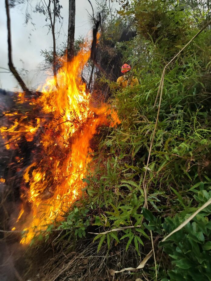 Fim de semana tem série de incêndios na região; veja