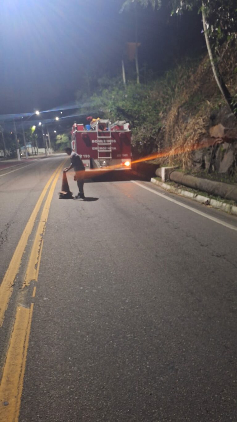 Ventos fortes derrubam árvores e causam transtornos em São Sebastião