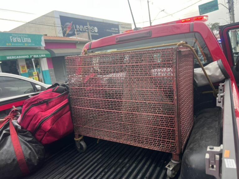 Capivara aparece em avenida movimentada de Taubaté e é resgatada pelos bombeiros