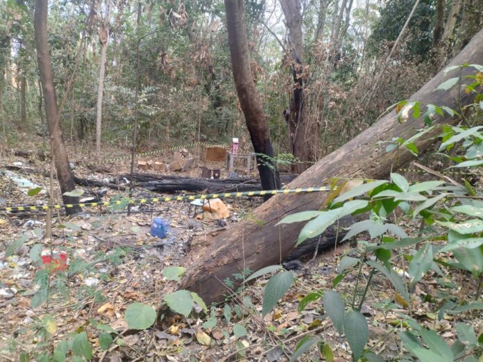 Ossada humana é encontrada em área de mata de Jaguariúna