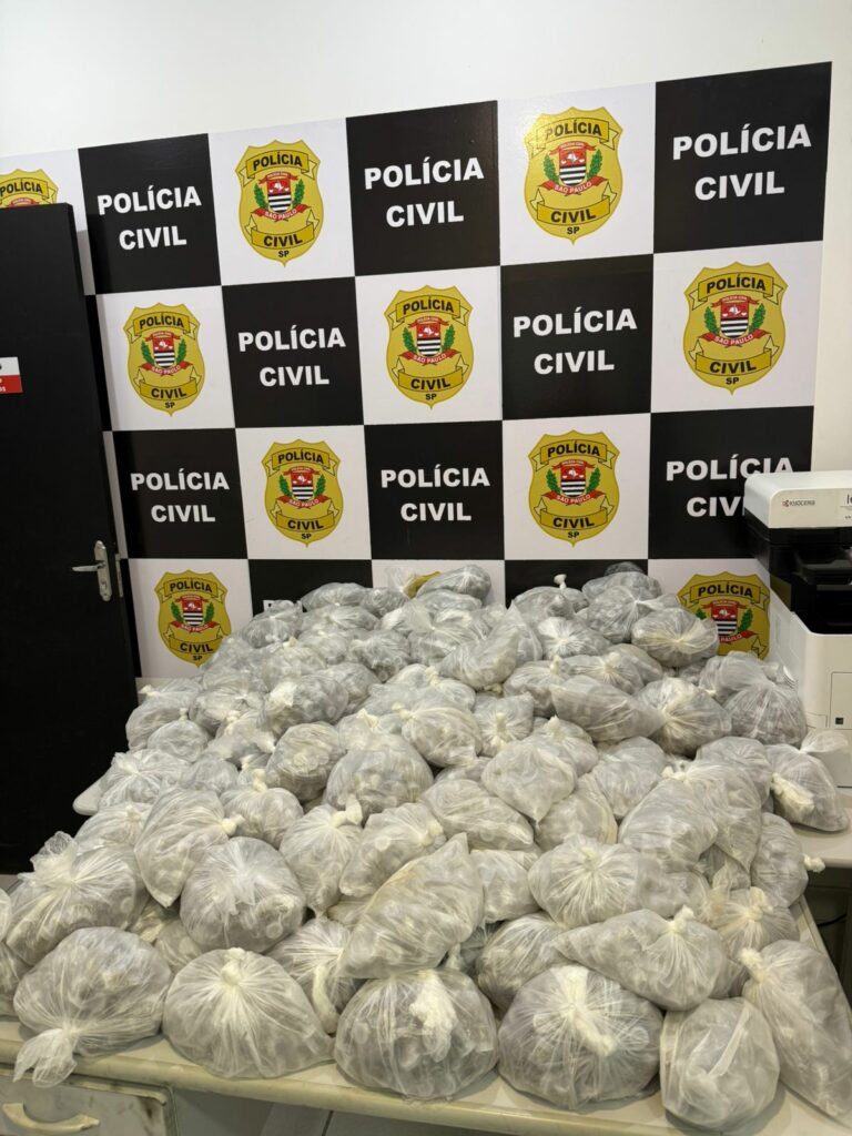 Duas pessoas são presas e grande carga de drogas é apreendida em ação na Praia Grande