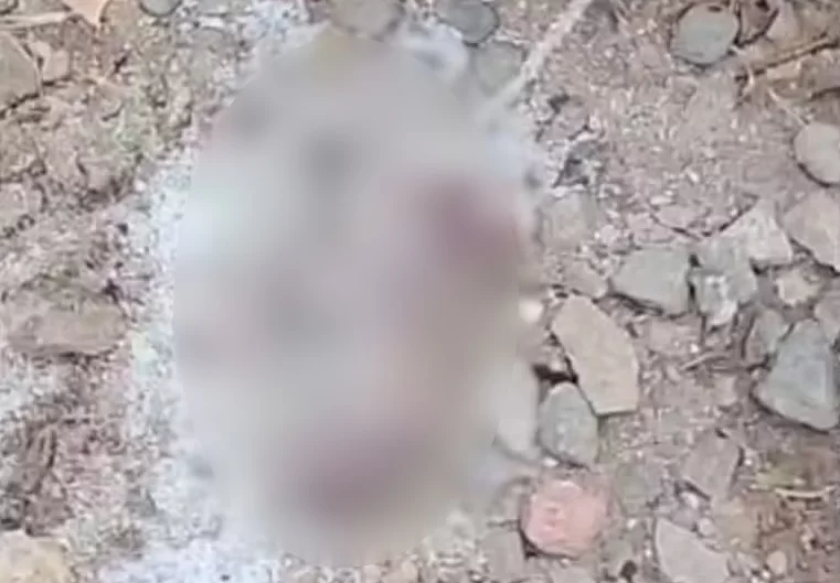 Recém-nascido é encontrado morto às margens de rio em Cubatão