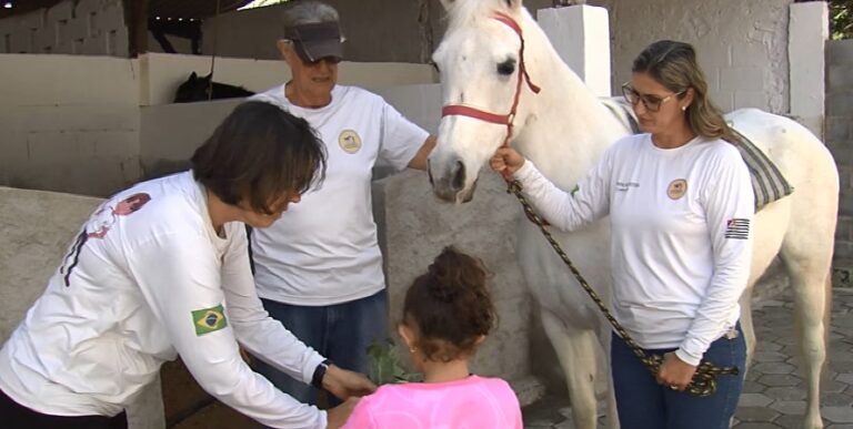 Equoterapia em São Vicente: Cavalos auxiliam no desenvolvimento de crianças e adultos
