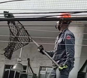 Saruê é resgatado em fiação em frente a estádio do Santos