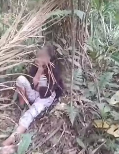 Idosa é encontrada em  área de mata em Bertioga após três dias desaparecida