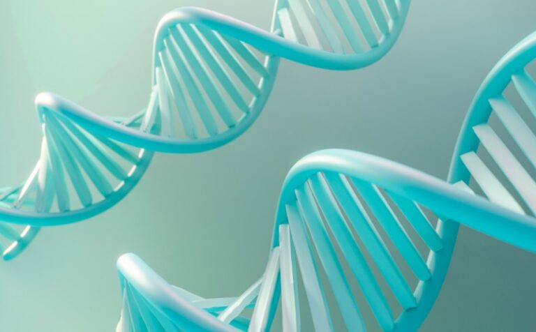 Incompatibilidade genética entre casais: testes preventivos ajudam a evitar doenças hereditárias graves