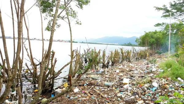 Corpo em estado de decomposição é encontrado em área de mangue em Cubatão