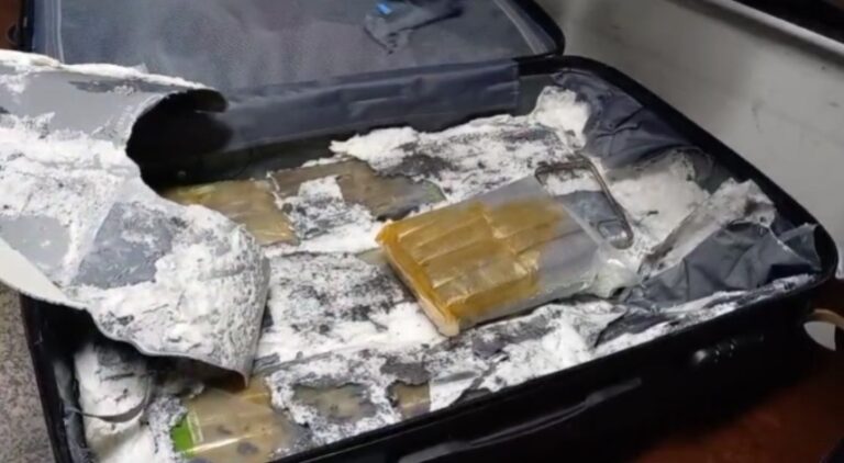 Droga apreendida | Foto: Divulgação/Polícia Civil