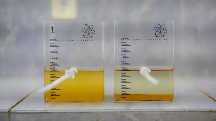 A pesquisa é da Universidade Federal do Rio Grande do Norte (UFRN) e tem 96% de eficiência