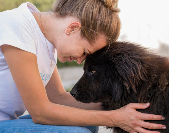 Câmara vota o ‘Setembro Amarelo PET’ nesta quarta-feira