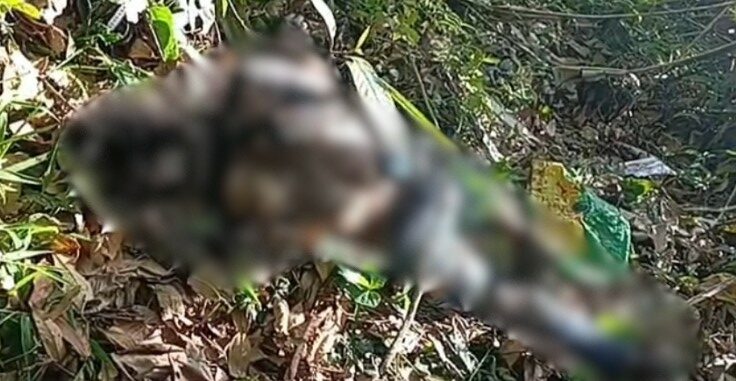 Homem é encontrado morto próximo a fiação elétrica em cidade do litoral