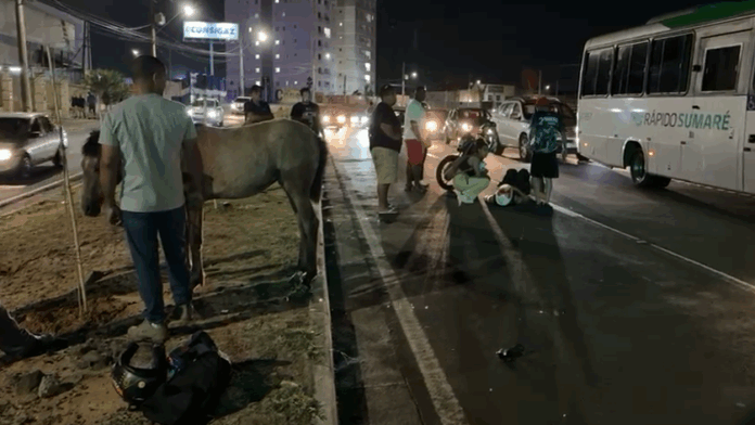 Motociclista atropela cavalo na avenida John Boyd Dunlop