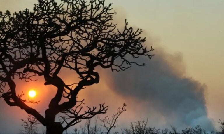 Agência Brasil/Arquivo