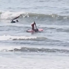 Surfista é filmado agredindo cachorro em cima de prancha de stand up em São Vicente; VÍDEO