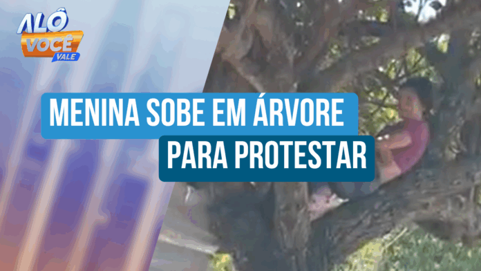 Menina sobe em árvore para tentar impedir corte em parquinho destruído em São José Menina sobe em árvore para tentar impedir corte em parquinho destruído em São José