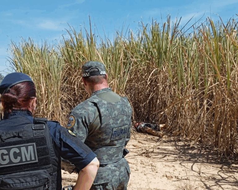 Homem é degolado em canavial próximo a Piracicaba